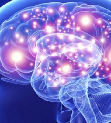 Psicopatología y Funciones Cerebrales