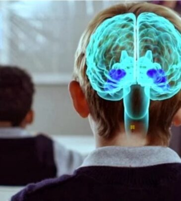 Solución de Problemas de Conducta en el Niño desde la Neurociencia.
